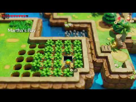 Link&#039;s Awakening - Heart Piece Location (Martha&#039;s Bay)