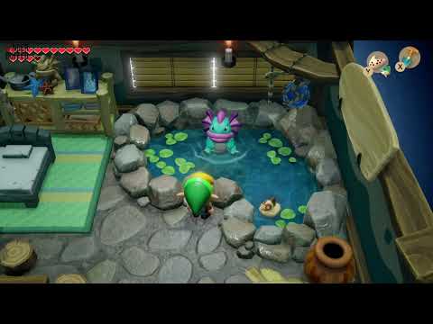 Link&#039;s Awakening - Secret Seashell (Animal Village)